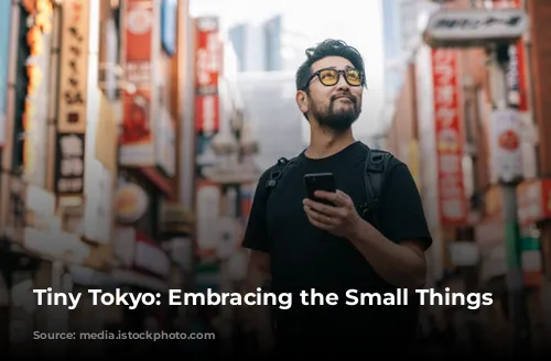 Tiny Tokyo: Embracing the Small Things