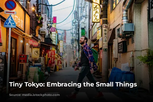 Tiny Tokyo: Embracing the Small Things