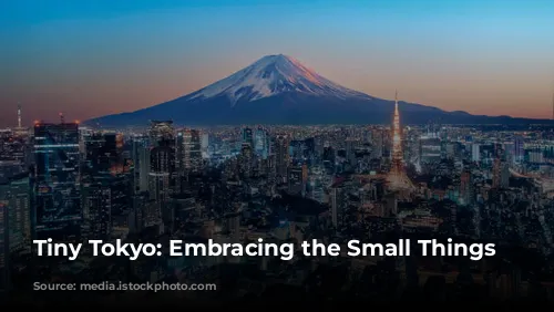 Tiny Tokyo: Embracing the Small Things