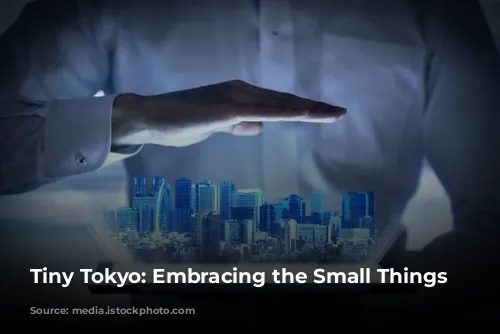 Tiny Tokyo: Embracing the Small Things