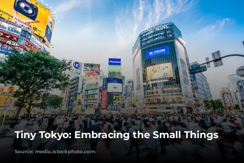 Tiny Tokyo: Embracing the Small Things