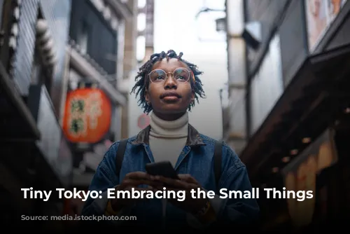 Tiny Tokyo: Embracing the Small Things