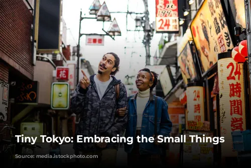 Tiny Tokyo: Embracing the Small Things