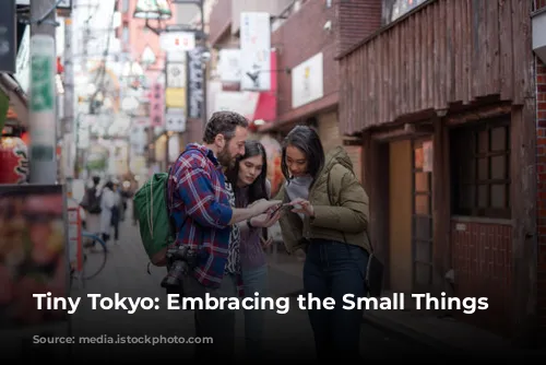 Tiny Tokyo: Embracing the Small Things