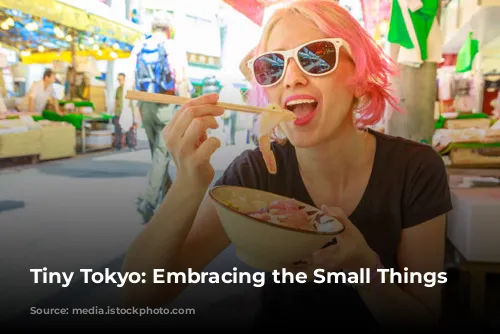 Tiny Tokyo: Embracing the Small Things