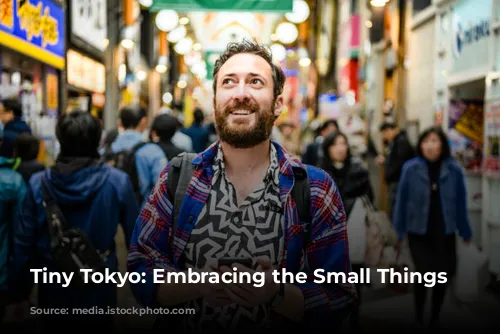 Tiny Tokyo: Embracing the Small Things