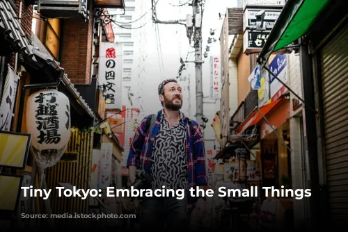 Tiny Tokyo: Embracing the Small Things