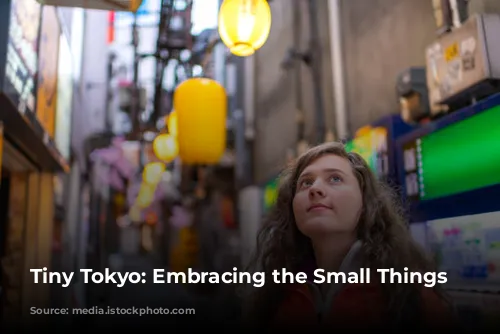 Tiny Tokyo: Embracing the Small Things