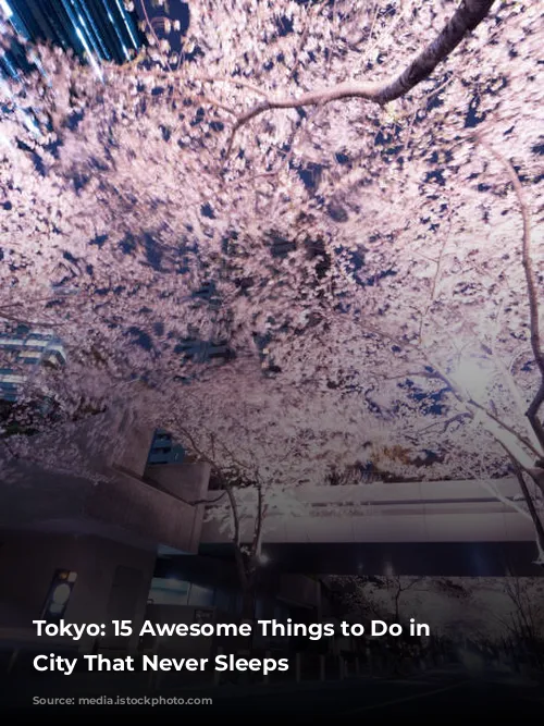 Tokyo: 15 Awesome Things to Do in the City That Never Sleeps