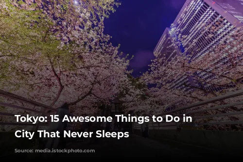 Tokyo: 15 Awesome Things to Do in the City That Never Sleeps