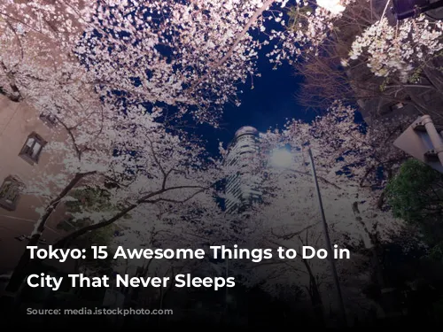 Tokyo: 15 Awesome Things to Do in the City That Never Sleeps