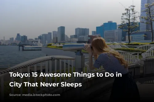 Tokyo: 15 Awesome Things to Do in the City That Never Sleeps