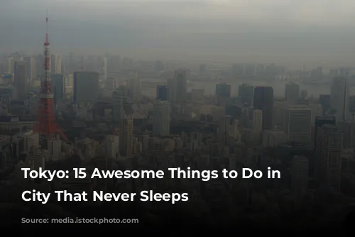 Tokyo: 15 Awesome Things to Do in the City That Never Sleeps