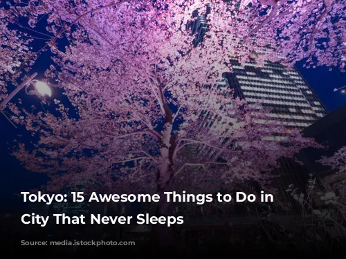 Tokyo: 15 Awesome Things to Do in the City That Never Sleeps