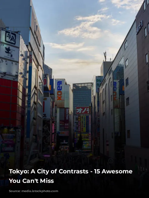 Tokyo: A City of Contrasts - 15 Awesome Experiences You Can't Miss