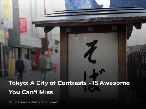 Tokyo: A City of Contrasts - 15 Awesome Experiences You Can't Miss