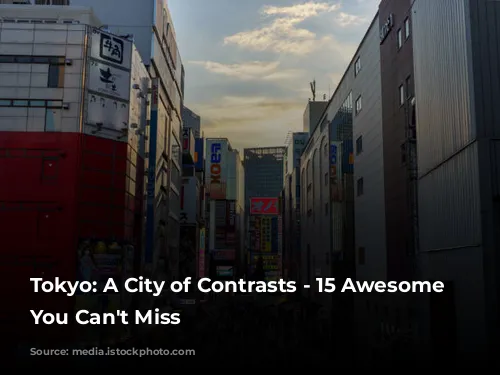 Tokyo: A City of Contrasts - 15 Awesome Experiences You Can't Miss