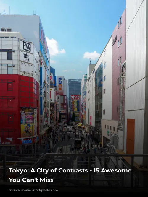 Tokyo: A City of Contrasts - 15 Awesome Experiences You Can't Miss