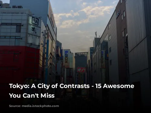 Tokyo: A City of Contrasts - 15 Awesome Experiences You Can't Miss