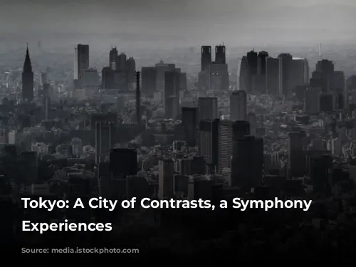 Tokyo: A City of Contrasts, a Symphony of Experiences