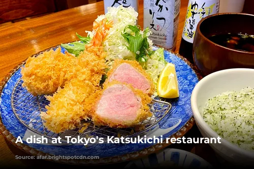 A dish at Tokyo's Katsukichi restaurant