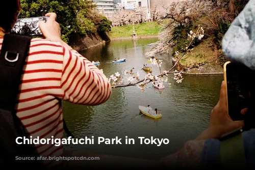 Chidorigafuchi Park in Tokyo