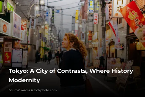 Tokyo: A City of Contrasts, Where History Meets Modernity