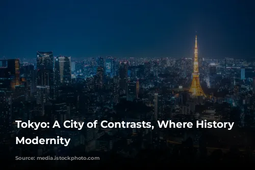 Tokyo: A City of Contrasts, Where History Meets Modernity