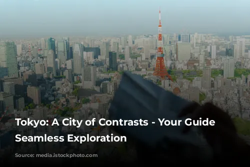 Tokyo: A City of Contrasts - Your Guide to Seamless Exploration