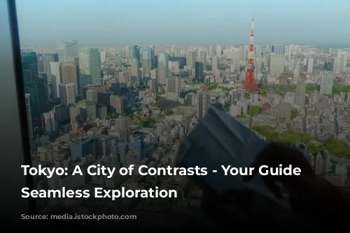 Tokyo: A City of Contrasts - Your Guide to Seamless Exploration