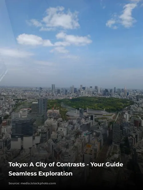 Tokyo: A City of Contrasts - Your Guide to Seamless Exploration