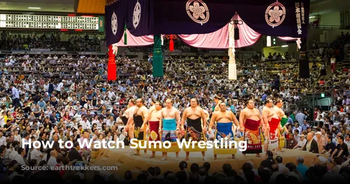 How to Watch Sumo Wrestling