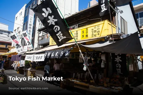 Tokyo Fish Market