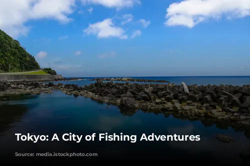 Tokyo: A City of Fishing Adventures