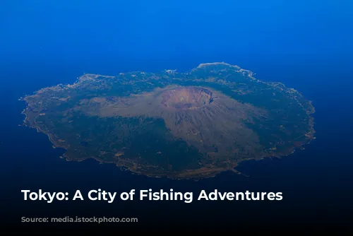 Tokyo: A City of Fishing Adventures