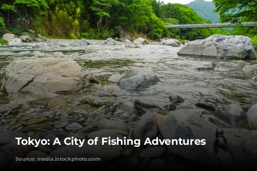 Tokyo: A City of Fishing Adventures