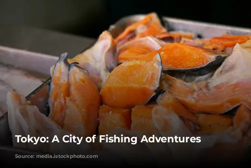 Tokyo: A City of Fishing Adventures