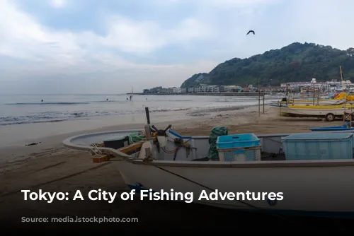 Tokyo: A City of Fishing Adventures