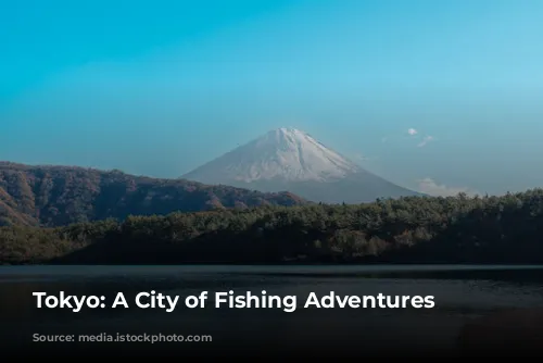 Tokyo: A City of Fishing Adventures