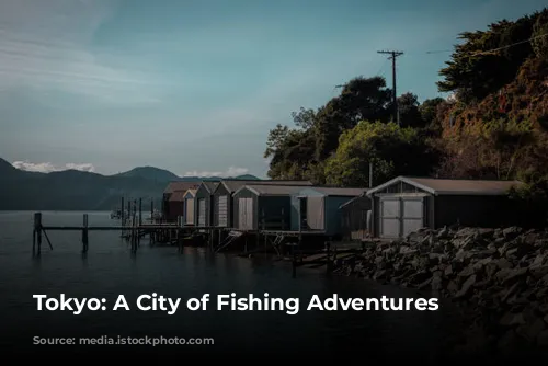 Tokyo: A City of Fishing Adventures