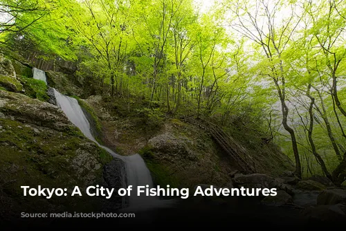 Tokyo: A City of Fishing Adventures