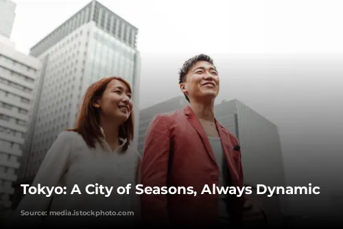 Tokyo: A City of Seasons, Always Dynamic