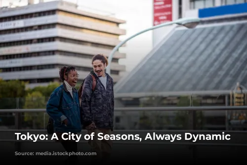 Tokyo: A City of Seasons, Always Dynamic