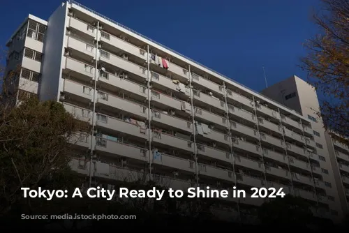 Tokyo: A City Ready to Shine in 2024