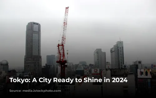 Tokyo: A City Ready to Shine in 2024