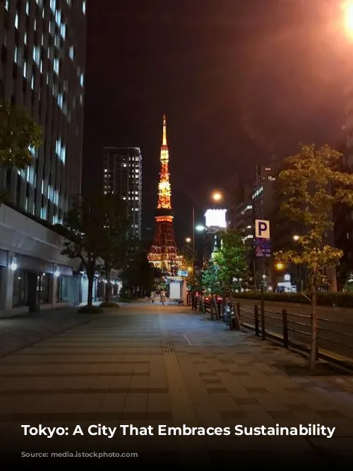 Tokyo: A City That Embraces Sustainability