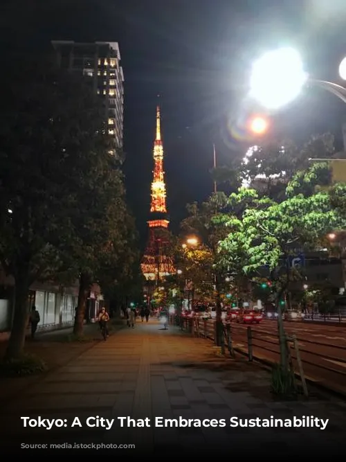 Tokyo: A City That Embraces Sustainability