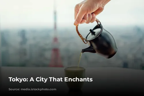 Tokyo: A City That Enchants