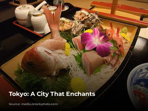 Tokyo: A City That Enchants