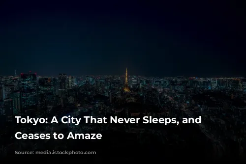 Tokyo: A City That Never Sleeps, and Never Ceases to Amaze